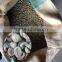 Robusta type green coffee beans,new crop,washed,polished grade AA 18