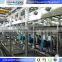 Golden Supplier IQF Machine For Fruits And Vegetables Frozen Peas Processing