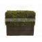 SJ0411013 Garden decoration artificial plastic milan boxwood hedge