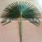 Artificial palm tree leaves