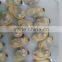 Japanese food supplier frozen delicious fresh whole boiled clam for sale