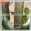 Wholesale realistic plastic bonsai tree bonsai plants decoration plant