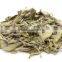 Sage leaves dry