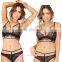 Import Sexy Girls Pictures of Women in Lace Underwear Full Transparent Bra Bra Set