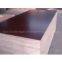 commercial plywood/fancy plywood/film faced plywood
