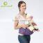 Gots Certified Adjustable Ergonomic baby carrier bicycle