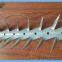 Hot dipped galvanized and PVC coated black medium wall spikes