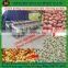 peanut red skin peeler , wet way almond /peanut peeling machine