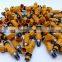 High Quality Fuel Injector 15710-61J00 1571061J00 for SUBARU SUZUKI APV FUTURA K-M