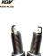 Auto Double Iridium Spark Plug D-BKR5EIX