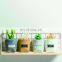 fruit 5gallon small pots plant growing bag felt