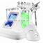 Niansheng Beauty Face Equipment Ultrasonic Hydro Dermabrasion Machine / 6 7 8 in 1 Hydro water Facial Machine