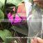 High transparency AR coating glass with EN12150 certificate