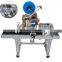 Automatic Paging Labeling Machine For Cosmetic Bags Food Kraft Bags Labeling Paging
