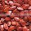 High quality watermelon seeds exported/the watermelon deeds with best price