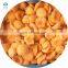 High quality New crop high quality IQF apricot half