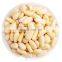 China Byloo organic cheap bulk pine nut kernels