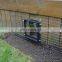 Raccoon Excluder One Way Door