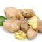 ginger drying machine