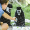 Premium Plain Dutch Weave 316 for Park and Zoo Enclosures