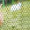 Bird Screen Netting Chicken Wire Mesh Welded Wire Mesh Galvanized Wire Mesh Custom Malla Pvc Coated Plastic Hexagonal Iron Wire Mesh