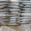 Pacific MackerelFish Seafood Bulk Frozen In Carton