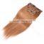 Factory Price 8A Quality Clip in Remy Hair Extension in Stock