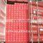 tomato paste in sachet brix 28-30%,22-24%