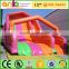 Giant rainbow inflatable water slide for kids and adults                        
                                                                                Supplier's Choice
