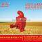 water pump 50ZB 65ZB 80ZB 100ZB