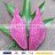 manufacture National plant Purple sweet potato extract Anthocyanin 5%-80% Herbal Extract