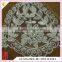 HC-2226-1 Hechun China Guangzhou Small Border White Pearl Beaded Lace Bridal Trim