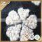 Polyester wool fabric for men Ready goods wrosted wool fabric
