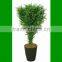 Artificial Cypress