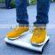 China electric chariot scooter price / cost Mobility scooter / self balancing Rooder 2 wheel electric scooter                        
                                                Quality Choice