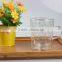 china manufacturer high borosilicate beautiful decal pattern double wall glass cup with handle