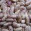 we are supplying speckle kidney beans for sale