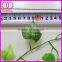 decorative wall hanging leaves