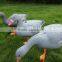 goose decoys/ hunting goose decoys/goose hunting bait