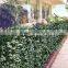 Window or fence decorative green garden fencing