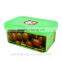 portable Silicone Fresh Box 600ml