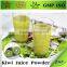 100% Natural Organic Dried Kiwi Fruit Powder