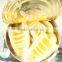 Good Taste high quality bamboo shoots whole price bamboo shoots slice price