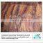 export dried squid supplier