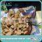 Roasted Salt Opening Apricot Pit/ Sweet Apricot Kernel for Festival Gift or leisure