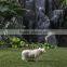 white color small size guinea pepa pig