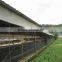 Broiler poultry farm design