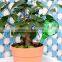 iLOT Hand-blown Plant Watering Bulbs Glass Aqua Globes