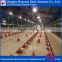 Low Cost Prefab Chicken Shed Poultry Farm