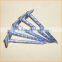 Top quality double point roofing nails trusted Chuanghe suppliers from  com
